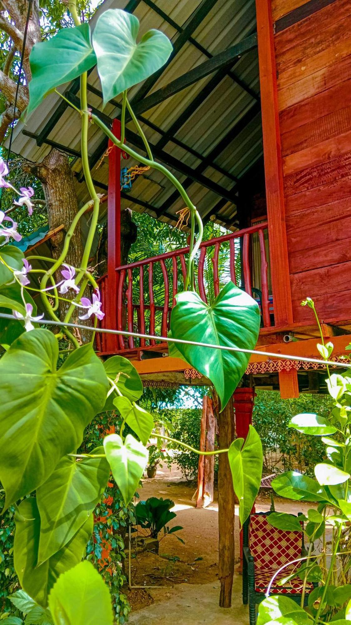 Sigiri Sky Home & Treehouse สิกิริยา ภายนอก รูปภาพ